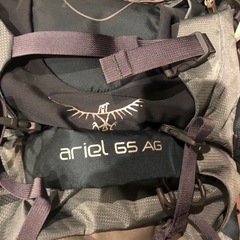 オスプレイ　　　エーリエル　65 wsの画像