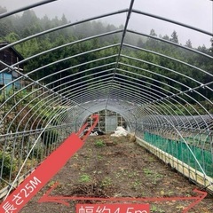 引取限定 中古大型温室 ビニールハウス