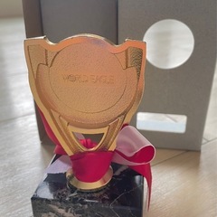 トロフィー　ワールドイーグル製の画像