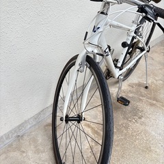 【Liv GIANT】ESCAPE R3 W (2020 NEW)の画像