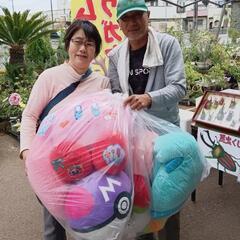 🍀ぬいぐるみ寄付のお礼＆チャリティーメダカ販売のご案内🍀