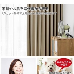 遮光カーテンレース付き4枚セットの画像