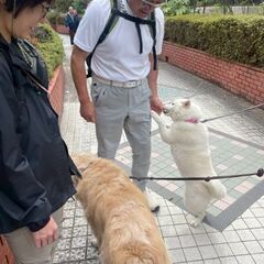 中野歩こう会 第3弾 - 中野区