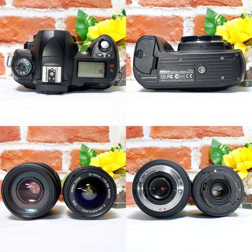 SIGMA Nikon Z mount | Nikon Z マウント | Otherレンズ