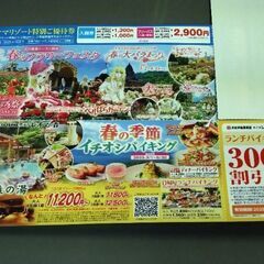 レオマワールド　レオマリゾート特別優待券（４月２７日現在１２枚あ...