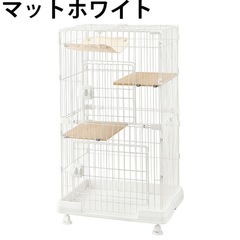 現在お渡し決まりました。ありがとうございます。の画像