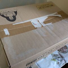 カルプロニック未開封1本をお安く！の画像