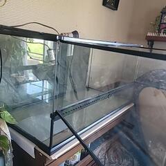 爬虫類用水槽、 ジェックス グラステラリウムの画像