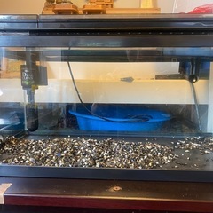 60センチロー水槽セット