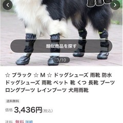 ドッグシューズ　レインシューズMサイズの画像