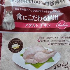 猫用フード
