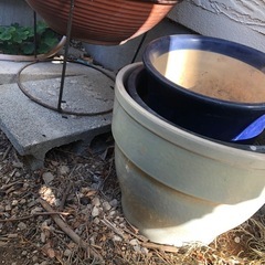 植木鉢（多数）差し上げますの画像