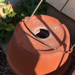 植木鉢（多数）差し上げますの画像