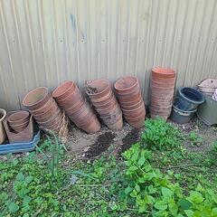 植木鉢の画像