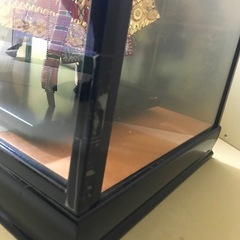 ５月人形　男の子　初節句　兜の画像