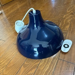 無印　照明　の画像