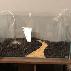 ADA水槽　60センチ　※水槽のみの画像