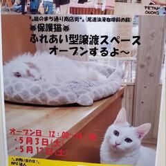 5月3日ふれあい型譲渡スペースオープン