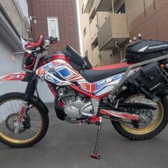 動画あり！札幌★ツーリングセロー（セロー250）ファイナルエディションカスタム　わずか走行1000キロの画像