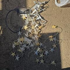 イルミネーションの画像