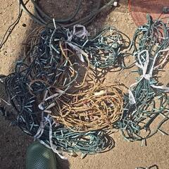 イルミネーションの画像