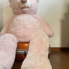 コストコのくま