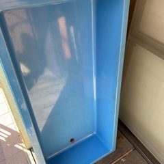 金魚すくい　水槽　めだか　らんちゅう