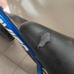 キックバイク　青の画像