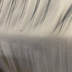 Anna Nicola サテンプリーツスカートの画像