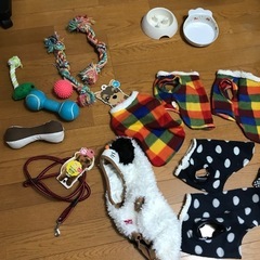 小型犬　犬用品　新品　未使用もあり