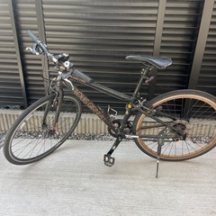 ルイガノ　自転車