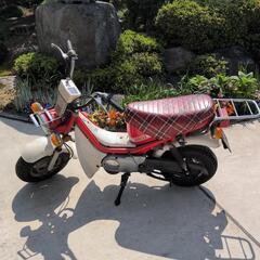 商談中　YAMAHA　ヤマハ　チャッピー　50cc