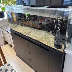 上部フィルター式1200水槽