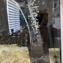 上部フィルター式1200水槽の画像