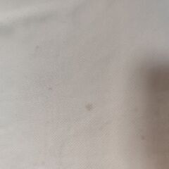 空手　Tシャツの画像