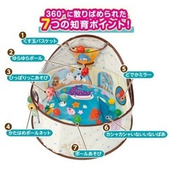 【知育】ピープル 360°知育ベビードーム（箱・説明書付）の画像