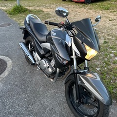 GSR250