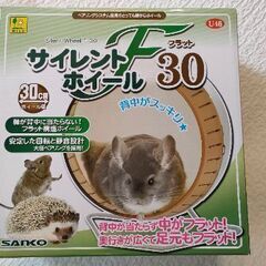 [値下げ][使用数回]サイレントホイールF(フラット)30