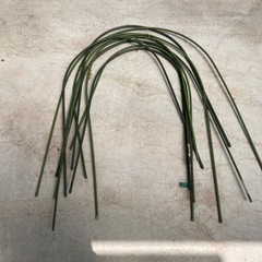 園芸　栽培　アーチ　トンネル　支柱　