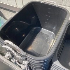 【メダカ】タライ36l