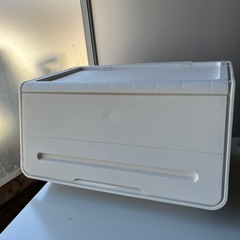 フラップ収納ボックス　コメリ