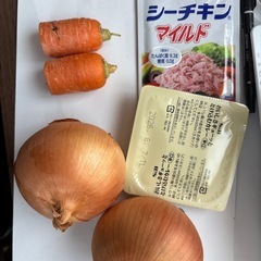決まりました。今夜はカレー？(じゃがいもはなし)