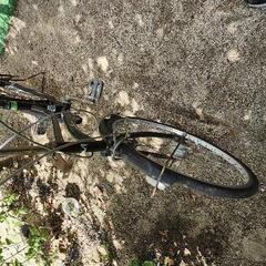ノーパンクタイヤの自転車の画像