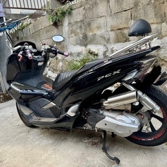 PCX125 JF81の画像