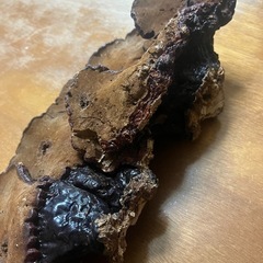 特大3連　さるの腰掛け　の画像