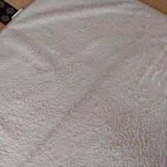 受け渡し者決定 カーペット  マット  ラグ  200×240cm の画像