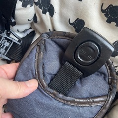 エアバギー　ココダブルの画像