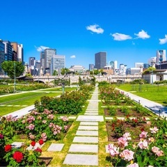 5/3土曜日　中之島で軽いジョギング＆ウォーキングしません…