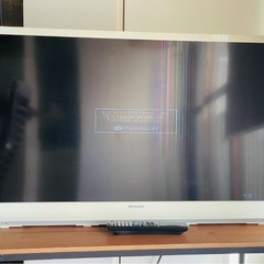 テレビ
