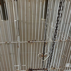 フクロモモンガケージの画像